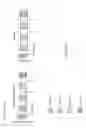Fig. 22 - Neurotherapeutic nanoparticle compositions comprising leukemia inhibitory factor