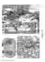 Fig. 29 - Neurotherapeutic nanoparticle compositions comprising leukemia inhibitory factor