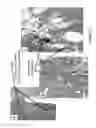 Fig. 32 - Neurotherapeutic nanoparticle compositions comprising leukemia inhibitory factor