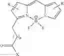 Fig. 65 - PSMA binding ligand-linker conjugates and methods for using