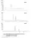 Fig. 02 - A PROTEIN CONJUGATE COMPRISING MULTIPLE PHYSIOLOGICALLY ACTIVE POLYPEPTIDES AND AN IMMUNOGLOBULIN FC REGION