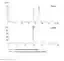 Fig. 07 - A PROTEIN CONJUGATE COMPRISING MULTIPLE PHYSIOLOGICALLY ACTIVE POLYPEPTIDES AND AN IMMUNOGLOBULIN FC REGION