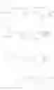 Fig. 65 - Biodegradable lipids for delivery of nucleic acids