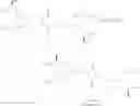 Fig. 69 - Biodegradable lipids for delivery of nucleic acids