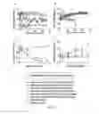 Fig. 07 - Diabetes gene therapy