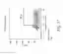 Fig. 24 - Long poly(A) plasmids and methods for introduction of long poly(A) sequences into the plasmid