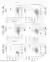 Fig. 27 - Long poly(A) plasmids and methods for introduction of long poly(A) sequences into the plasmid