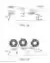 Fig. 04 - Nanoallergens and uses thereof