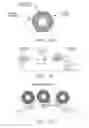 Fig. 33 - Nanoallergens and uses thereof