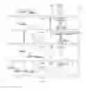 Fig. 07 - Lymph targeting nuclear magnetic contrast agent using brown algae polysaccharide as carrier and preparation method and use thereof