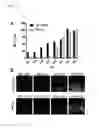 Fig. 20 - Nanodroplets with improved properties