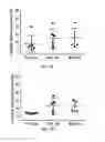 Fig. 09 - Compositions comprising silk fibroin particles and uses thereof