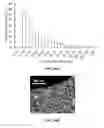 Fig. 52 - Compositions comprising silk fibroin particles and uses thereof