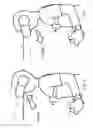 Fig. 06 - APPARATUS AND METHOD FOR BREATHING AND CORE MUSCLE TRAINING