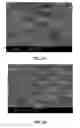Fig. 02 - ASYMMETRIC MEMBRANES AND RELATED METHODS