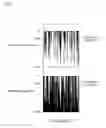 Fig. 09 - INKJET PRINTER AND INKJET PRINTING METHOD