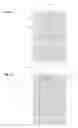 Fig. 06 - Multiple hidden image security device
