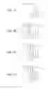 Fig. 07 - Occupant protection device