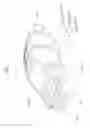 Fig. 02 - VEHICLE FRONT STRUCTURE