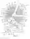 Fig. 03 - Fluid damper for a bicycle component