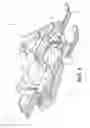 Fig. 02 - Snowmobile rear suspension