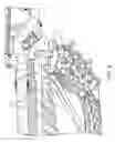 Fig. 09 - Snow vehicle