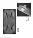 Fig. 19 - Container Having a Retained, Externally Displaceable Drain Insert
