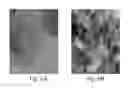 Fig. 09 - Carbon allotropes
