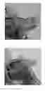 Fig. 02 - Composite containing carbon nanostructure, high molecular material using same and preparation method