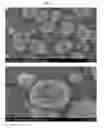 Fig. 02 - Manufacturing method of positive active material precursor for sodium rechargeable batteries, positive active material precursor for sodium rechargeable batteries made by the same, and manufacturing method of positive active material for sodium rechargeable batteries, positive active material for sodium rechargeable batteries made by the same