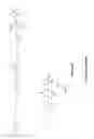 Fig. 43 - Methods for low temperature fluorine-18 radiolabeling of biomolecules