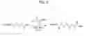Fig. 06 - SYNTHESIS AND IN VITRO ACTIVITY OF D-LACTIC ACID OLIGOMERS