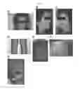 Fig. 02 - COMPOSITIONS AND METHODS FOR INCREASING, OR PREVENTING OR REVERSING LOSS OF, SKIN PIGMENTATION IN A MAMMALIAN SUBJECT
