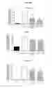 Fig. 08 - CANNABINOID RECEPTOR MEDIATING COMPOUNDS