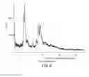 Fig. 09 - Solid forms of (S)-3-(1-(9H-purin-6-ylamino)ethyl)-8-chloro-2-phenylisoquinolin-1(2H)-one and methods of use thereof