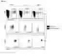 Fig. 02 - Small molecules that bind MR1