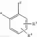 Fig. 07 - Macrocyclic sulfondiimine compounds