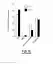 Fig. 11 - Lipophenol compounds and uses thereof