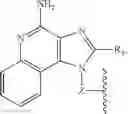 Fig. 40 - Phospholipidation of imidazoquinolines and oxoadenines