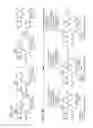 Fig. 03 - CONCISE SYNTHESIS OF UREA DERIVATIVES OF AMPHOTERICIN B