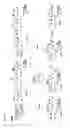 Fig. 05 - CONCISE SYNTHESIS OF UREA DERIVATIVES OF AMPHOTERICIN B