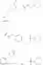 Fig. 44 - Derivatives of amphotericin B