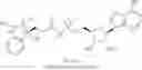 Fig. 404 - INHIBITORS OF MENAQUINONE BIOSYNTHESIS