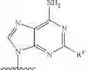 Fig. 92 - INHIBITORS OF MENAQUINONE BIOSYNTHESIS
