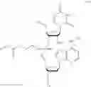 Fig. 06 - Nucleotide and oligonucleotide prodrugs