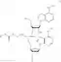 Fig. 07 - Nucleotide and oligonucleotide prodrugs
