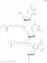 Fig. 08 - Nucleotide and oligonucleotide prodrugs