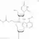 Fig. 09 - Nucleotide and oligonucleotide prodrugs