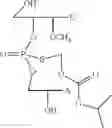 Fig. 37 - Nucleotide and oligonucleotide prodrugs
