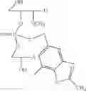 Fig. 40 - Nucleotide and oligonucleotide prodrugs
